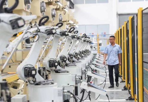 從黑與白到綠野新蹤 華鎣市因地制宜推進工業城、旅游市、物流港建設，實現高質量發展轉型突圍