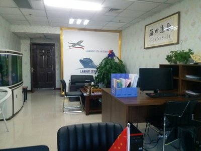 包頭市墨鯨信息咨詢服務 企業發展的智慧外腦與決策參謀